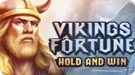 vikings-fortune